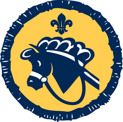 Beaver Badges (400x397)