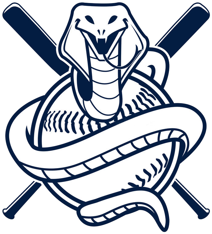 Cobra Vector Baseball (800x853)