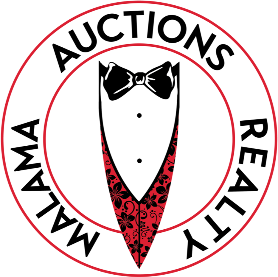Spinner Logo - Auction (1024x1024)