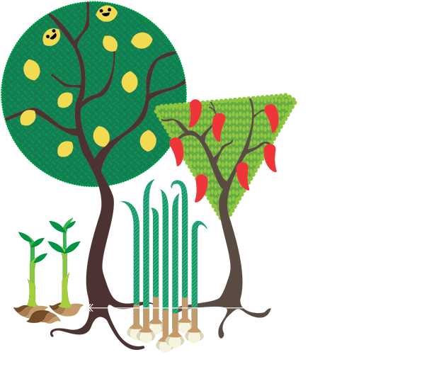Clipart Tree Chilli - Chili Pepper (700x547)