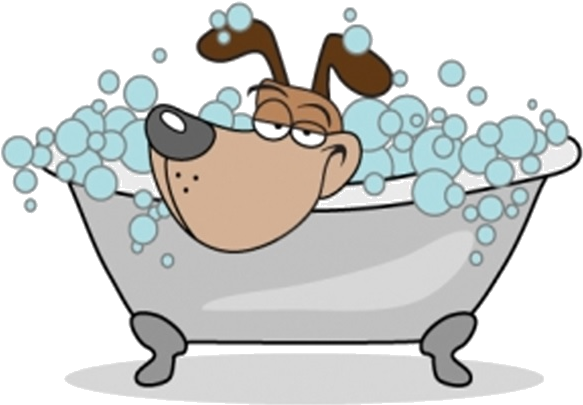 Dog (590x453)