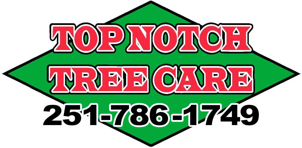 Top Notch Tree Care Vector Transparent Library - Top Notch Tree Care Vector Transparent Library (1024x523)