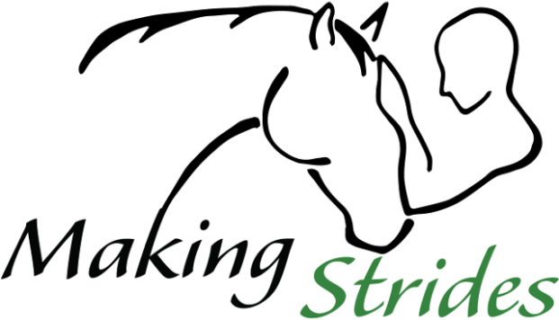 This Program Provides No Charge Equine Assisted Mental - This Program Provides No Charge Equine Assisted Mental (620x400)
