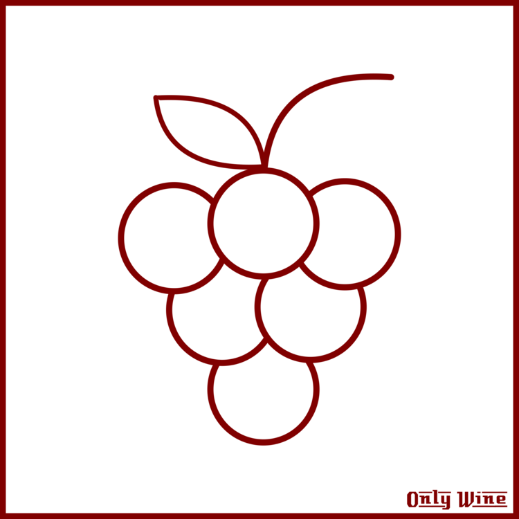 Drawing Grape Art - Drawing Grape Art (750x750)