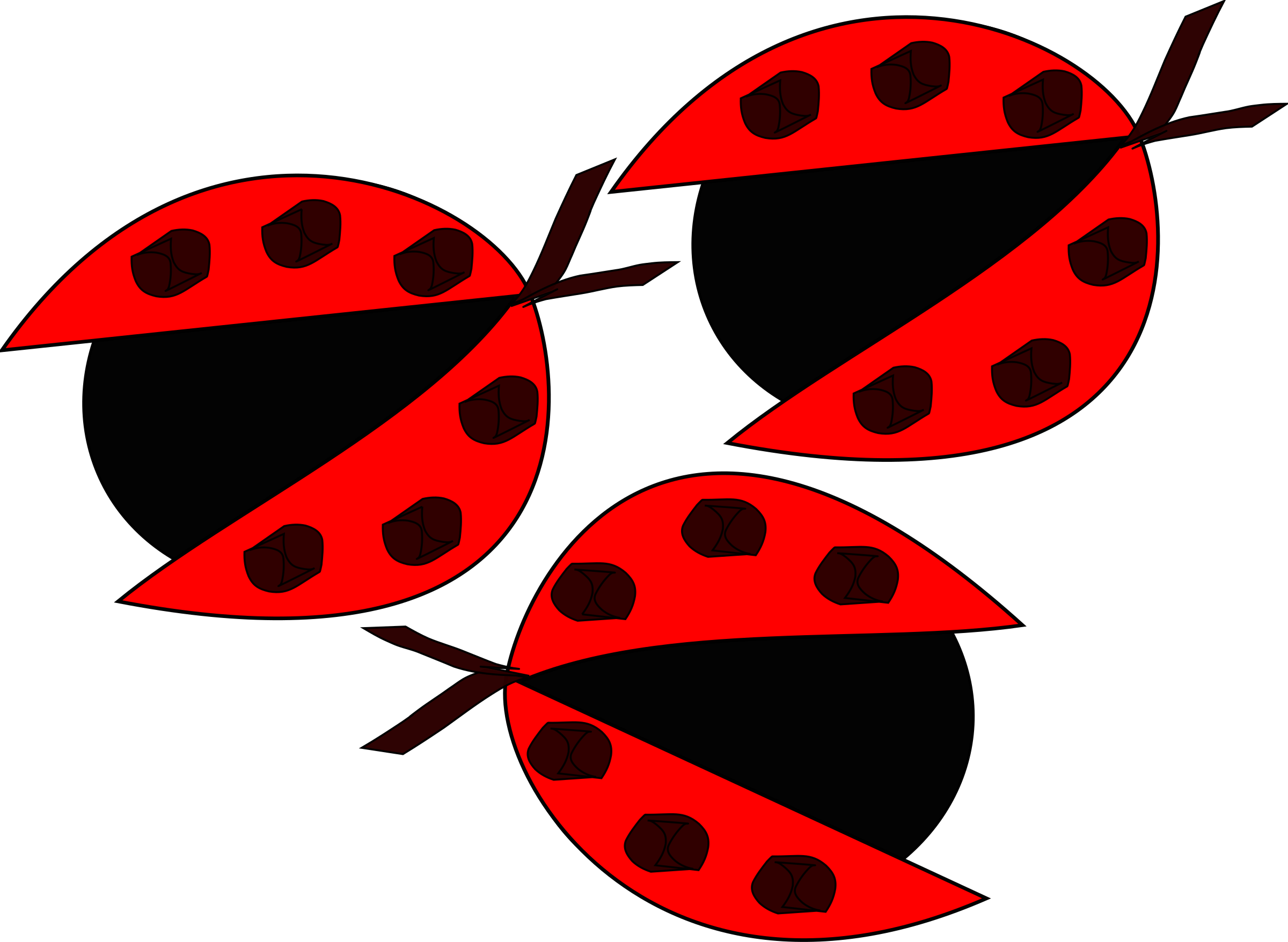 Lady Bird - Lady Bird (2400x1756)