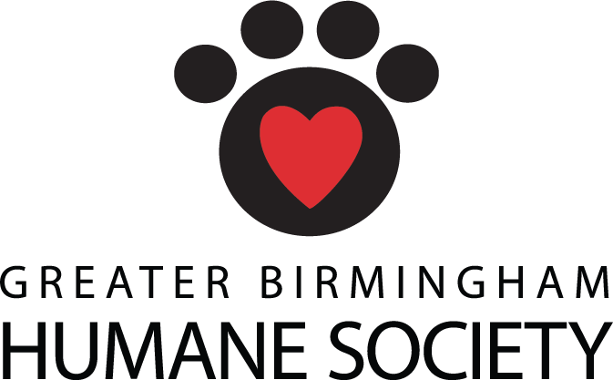 Please Contact Us To Let Us Know How We Can Help Support - Please Contact Us To Let Us Know How We Can Help Support (673x417)