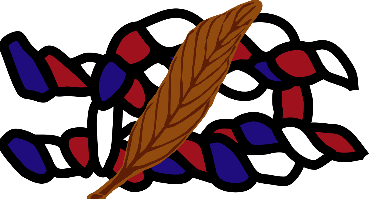 Wikiproject Scouting Bsa Eagle Knot With Bronze Palm - Wikiproject Scouting Bsa Eagle Knot With Bronze Palm (1280x689)