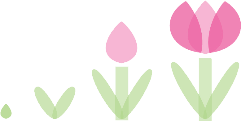 Tulips - Tulips (926x397)