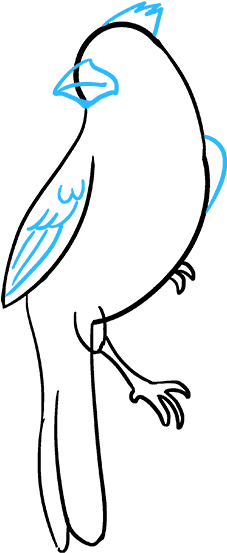 Cardinal Really Easy Drawing Tutorial Step - Cardinal Really Easy Drawing Tutorial Step (680x678)