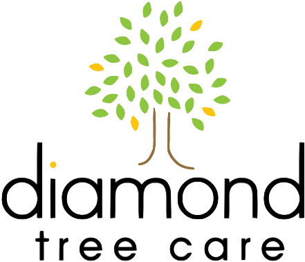 Diamond Tree Care - Diamond Tree Care (441x379)