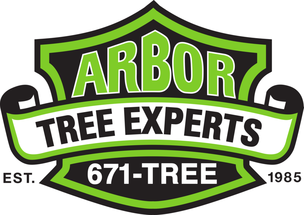 Arbor Tree Experts, Tree Service Webster - Arbor Tree Experts, Tree Service Webster (1000x709)