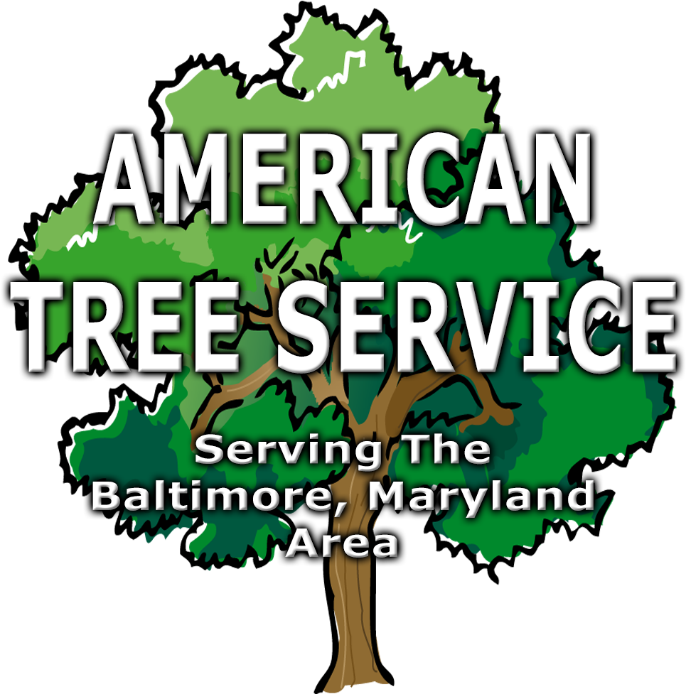 Setting Clipart River Tree - Setting Clipart River Tree (1024x1024)