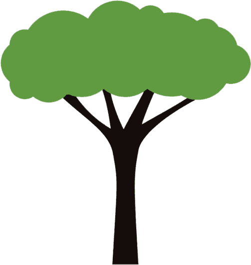 Tree With Four Branches - Tree With Four Branches (640x660)