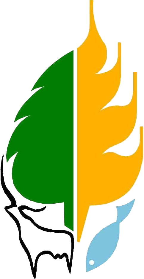 Naas Score - Naas Score (524x932)