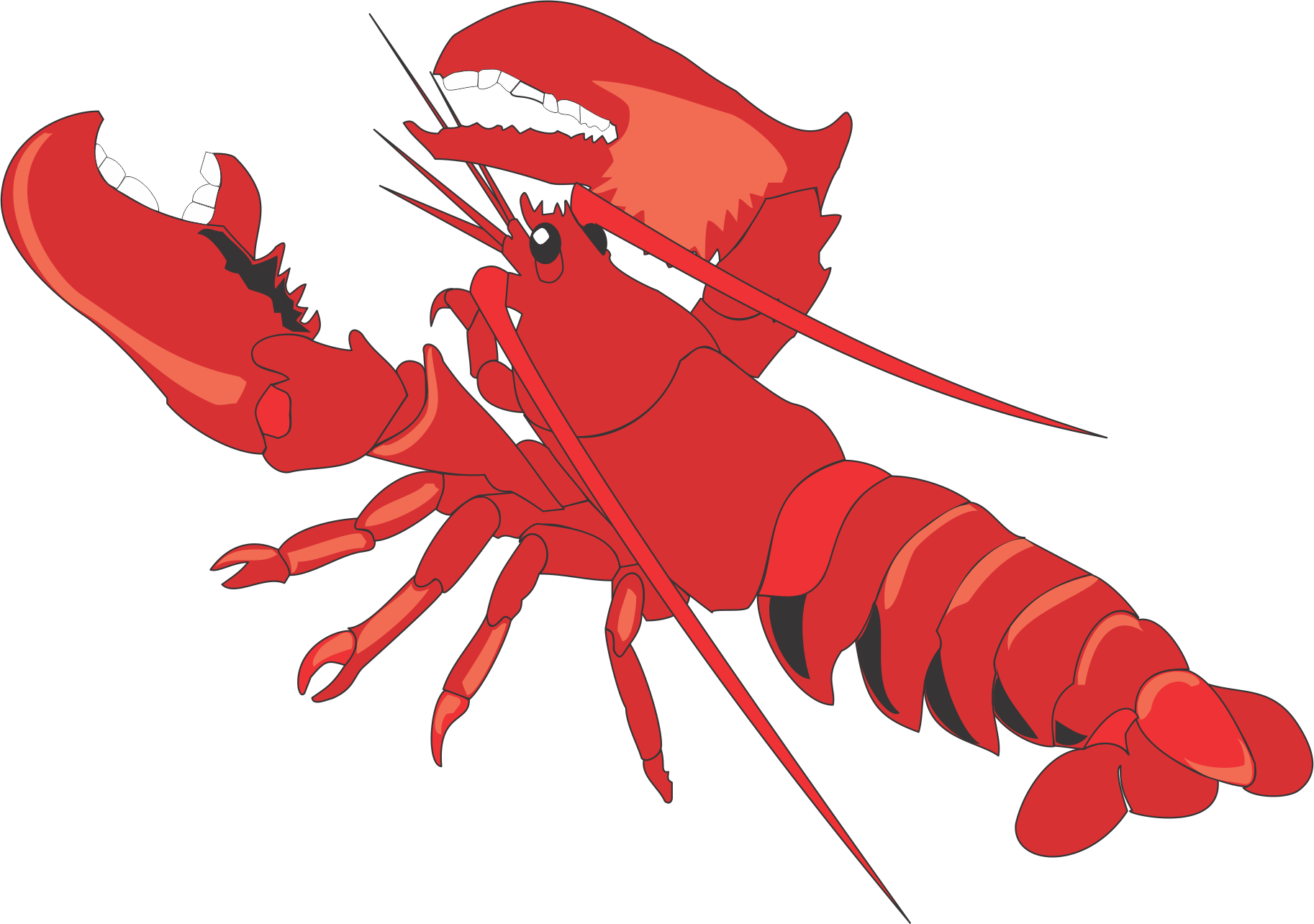 Lobster - Lobster (1826x1284)