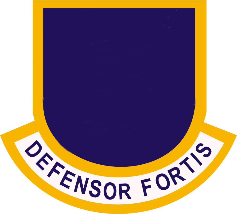 Usaf Security Forces Flash-officer - Usaf Security Forces Flash-officer (1009x914)