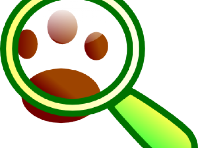 Overview Clipart Finding - Overview Clipart Finding (640x480)