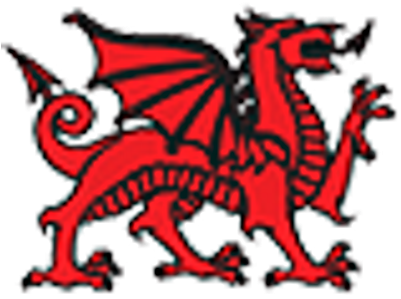 Celtic Carpet Clean - Celtic Carpet Clean (400x400)