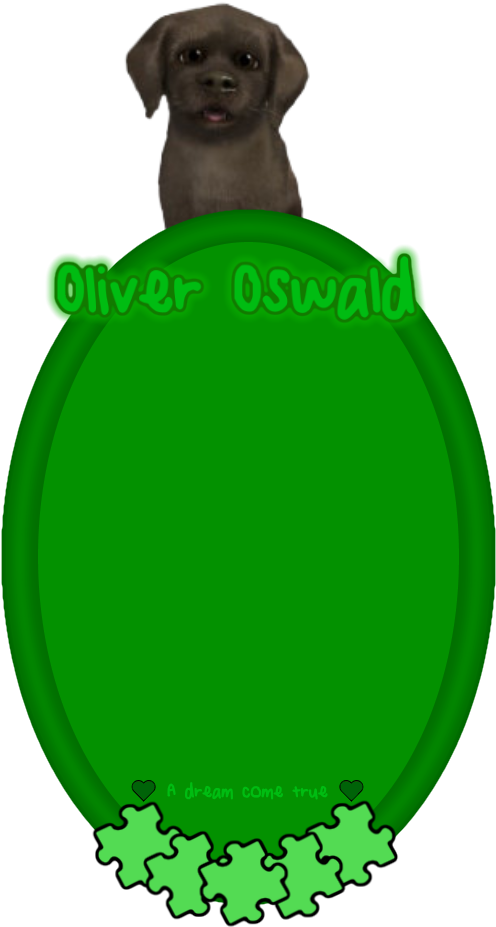 Oliver Oswald - Oliver Oswald (550x937)