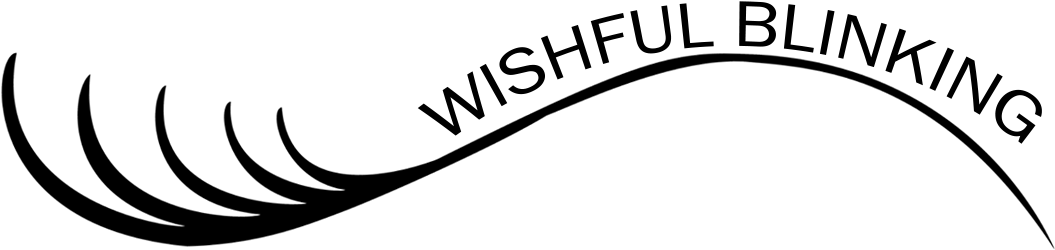 Wishful Blinking Eyelash Extensions - Wishful Blinking Eyelash Extensions (1104x295)