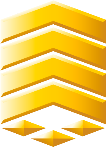 Army E Sergeant - Army E Sergeant (400x600)