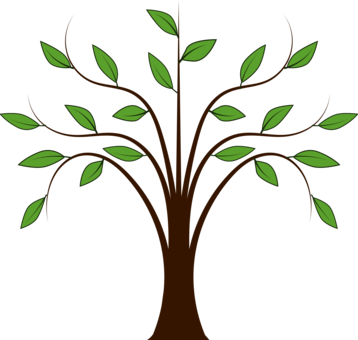 Tree Download Oak Document - Tree Download Oak Document (358x340)