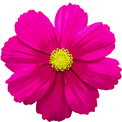 Blossom, B - Blossom, B (399x400)