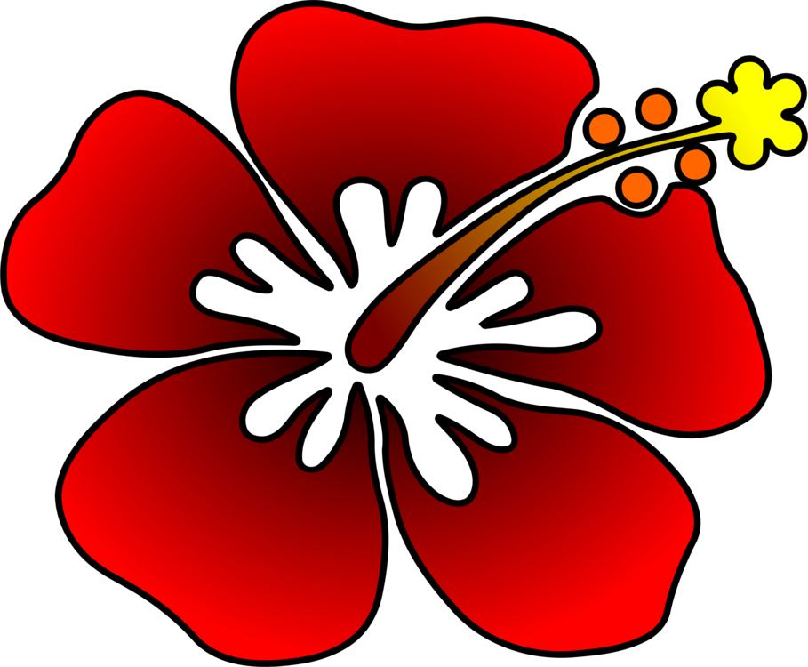 Com Plants Cut Flowers - Com Plants Cut Flowers (909x750)