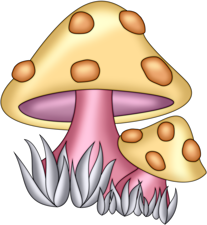 Pps Shroom - Pps Shroom (708x800)