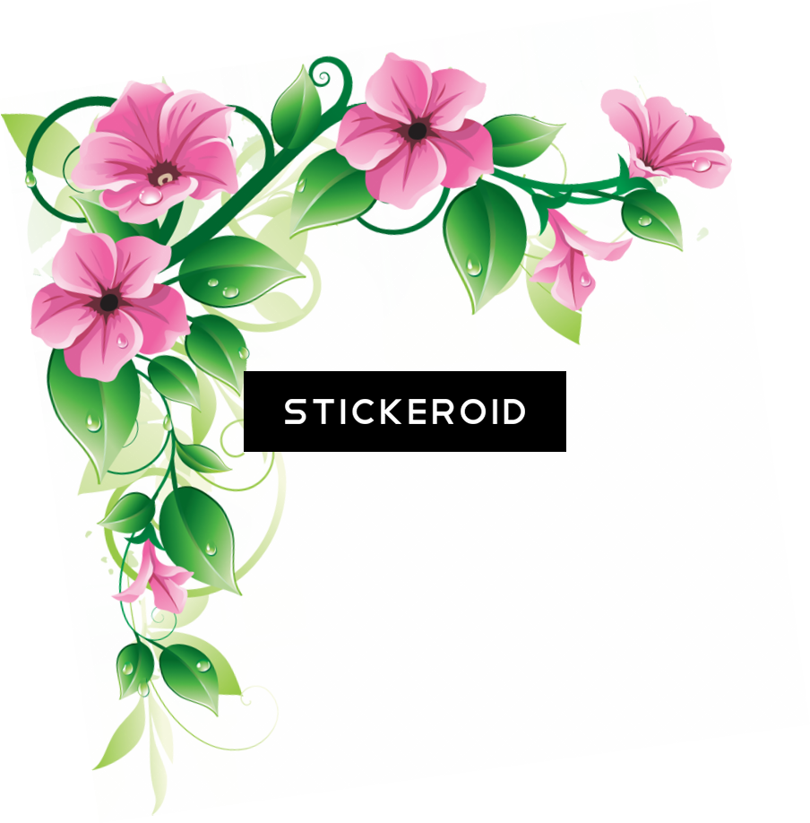Flowers Borders - Flowers Borders (904x918)