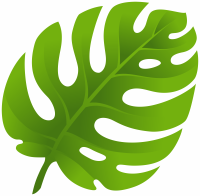 Exotic Leaf - Exotic Leaf (400x392)