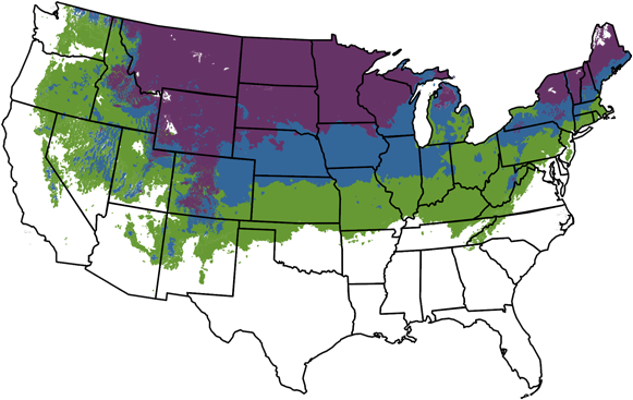 Zone Map - Zone Map (600x396)