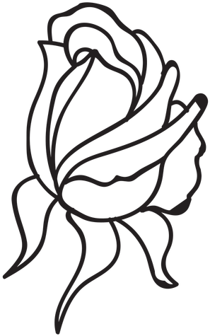 Bud Drawing Single Rose - Bud Drawing Single Rose (512x512)