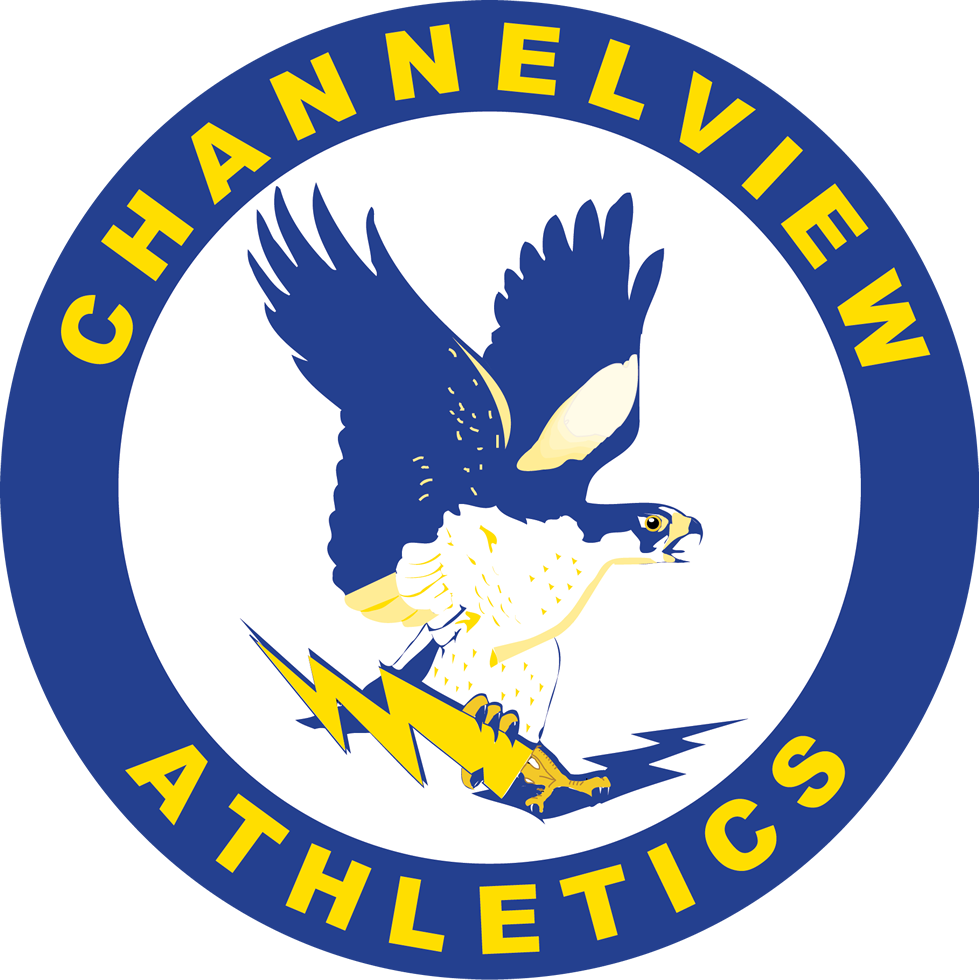Channelview Falcons - Channelview Falcons (979x980)