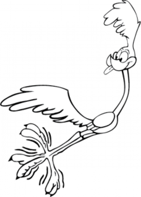 Roadrunner Vector - Roadrunner Vector (450x630)