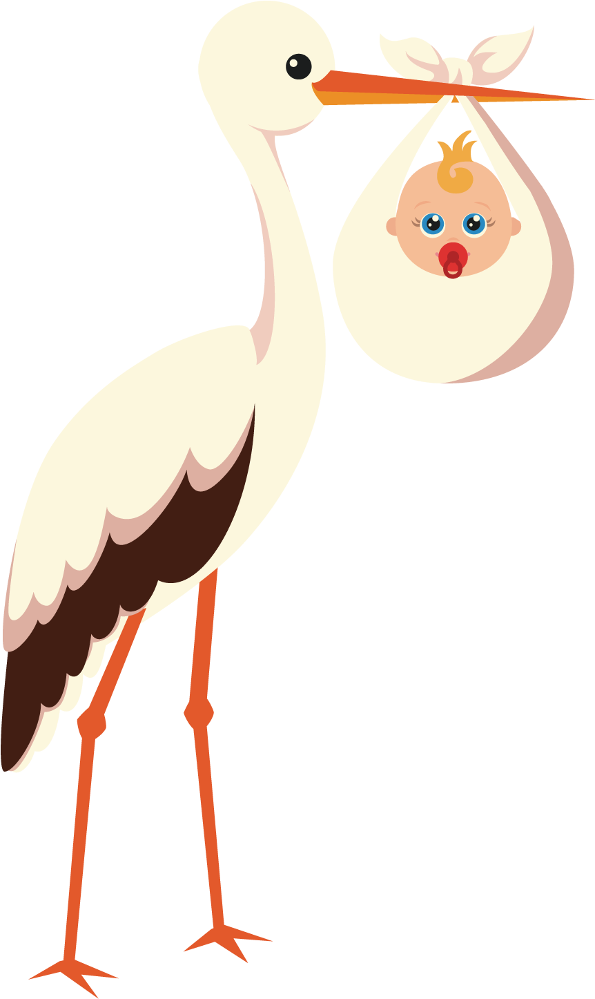 Stork Vector Pregnancy - Stork Vector Pregnancy (1500x1500)
