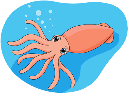 Squid - Squid (450x450)