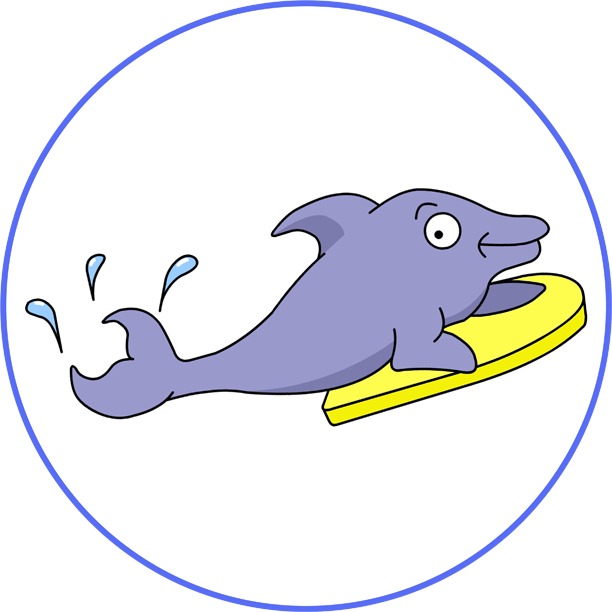 Dolphins 5 Yo - Dolphins 5 Yo (612x612)