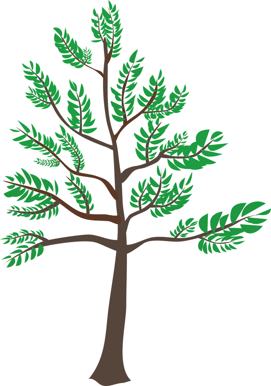 Vector - Vector (899x1280)