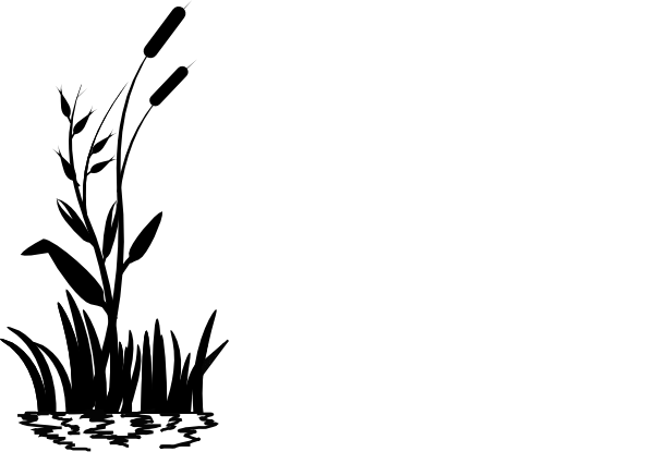Grass Flat Png (600x426)