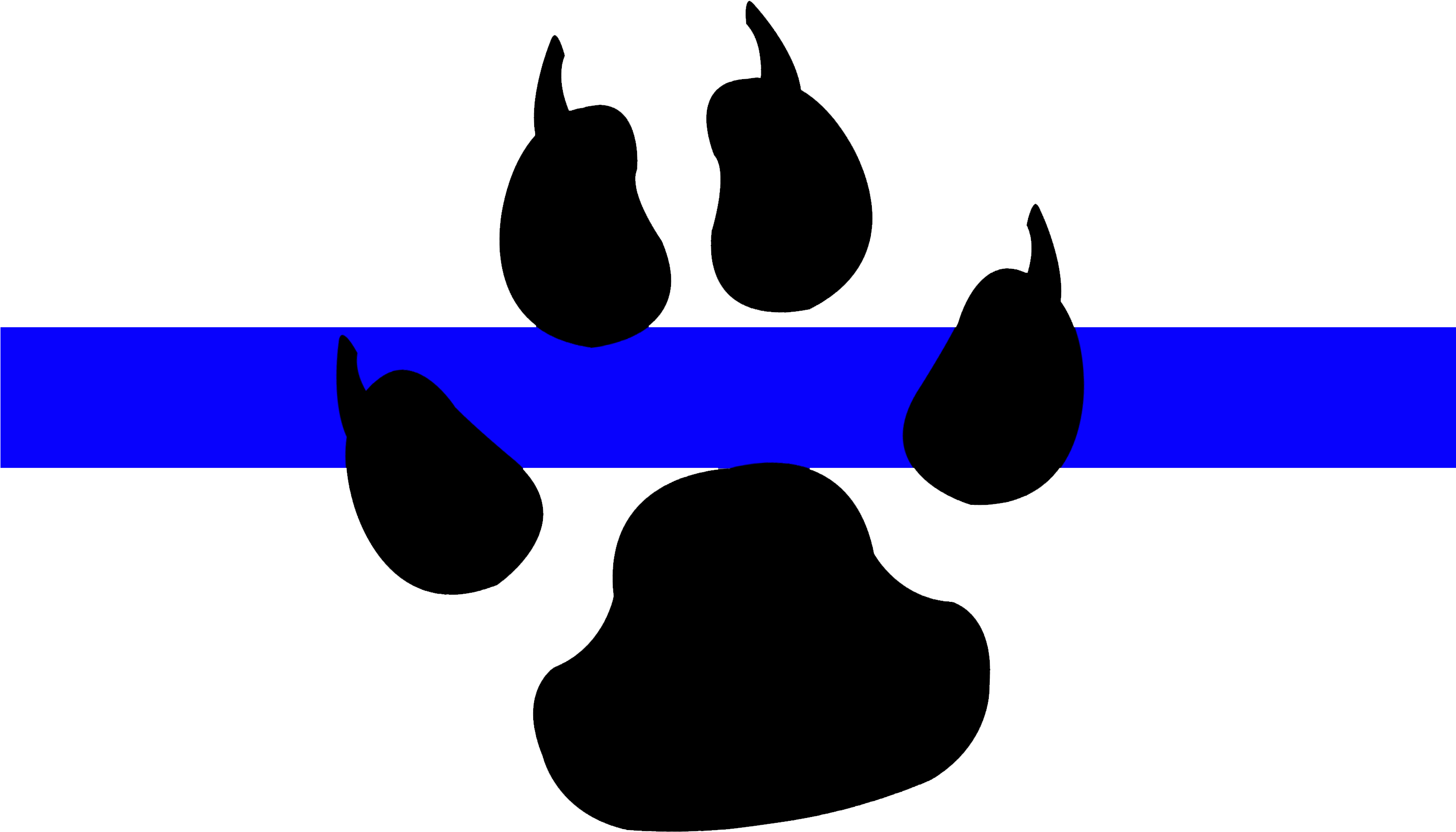 Blue Line K9 - Embedded System (3000x2400)
