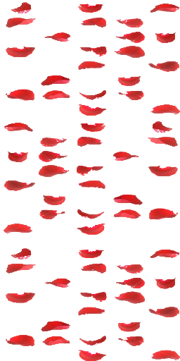 Wrapping Paper (256x512)