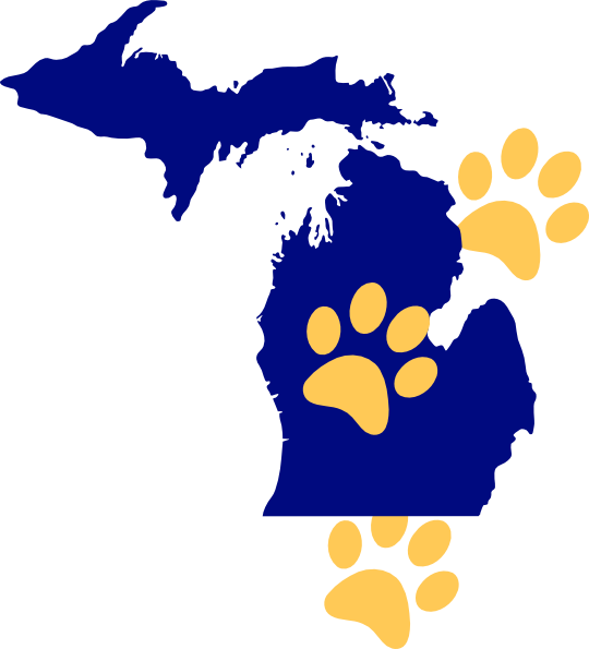 Next Generation Science Standards Michigan (540x595)
