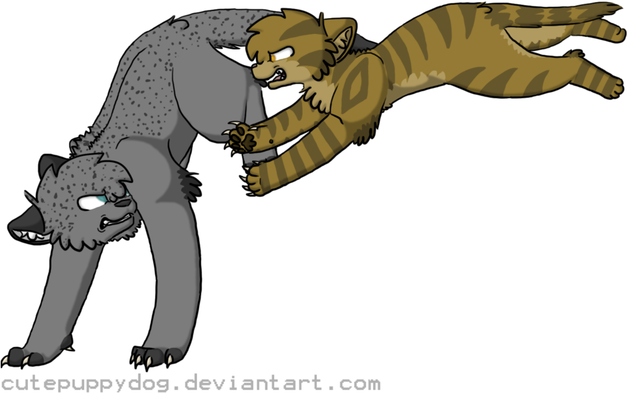 Ashfur Vs Lionpaw By Diets0da - Drawing (900x600)