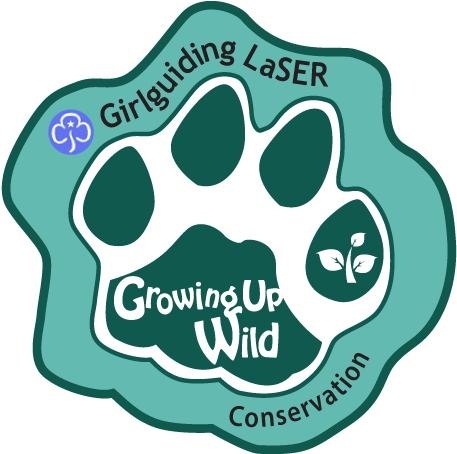 Conservation - Conservation (463x453)