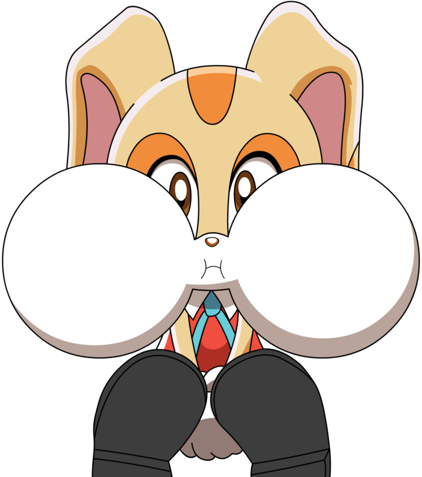 Sonic X Cream The Rabbit (841x950)