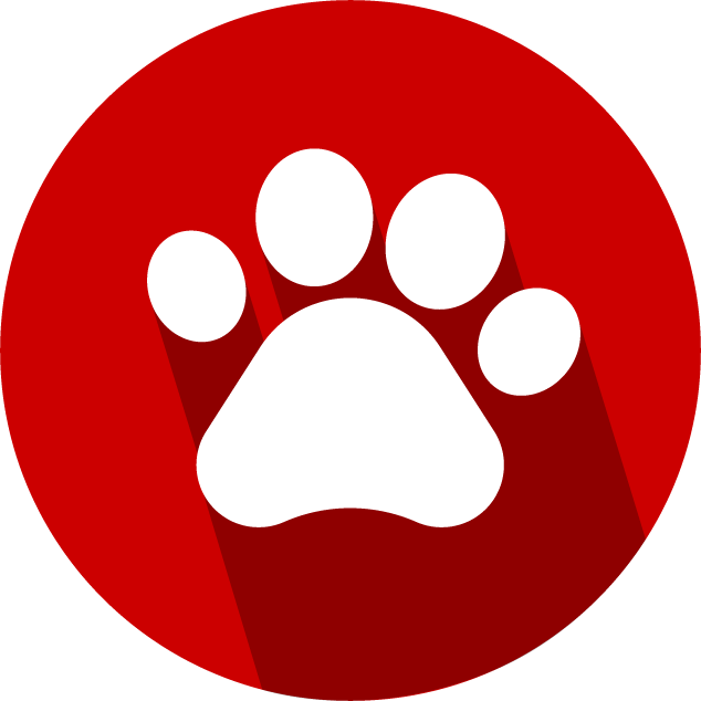 Pet Accessories - “ - Quotation Marks Vector Png (634x634)
