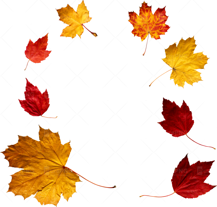 Autumn Png (850x812)