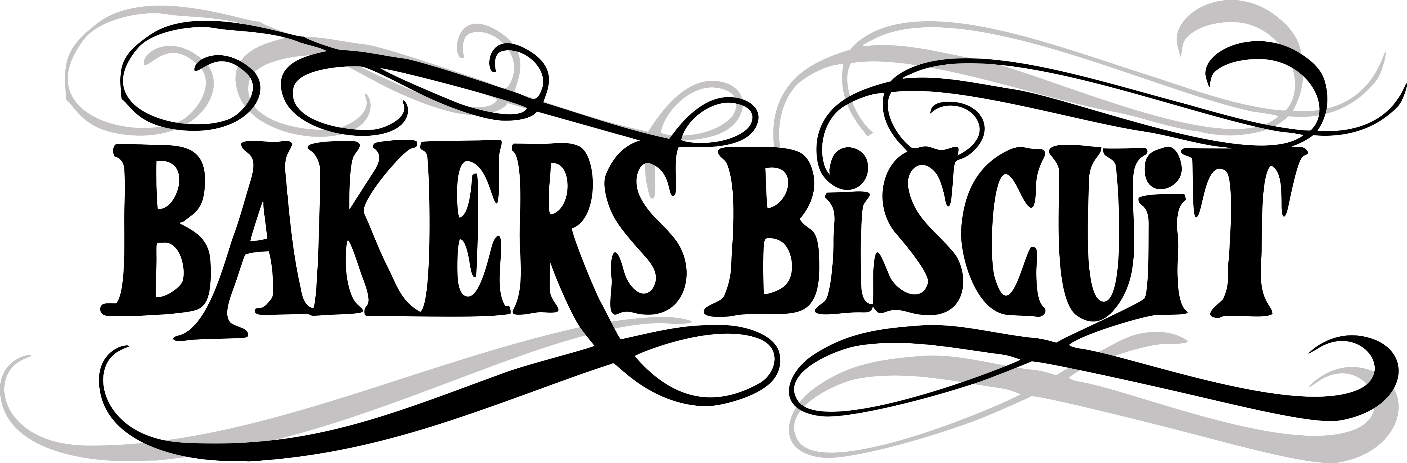 Bakersbiscuit - Com - .com (4828x1590)