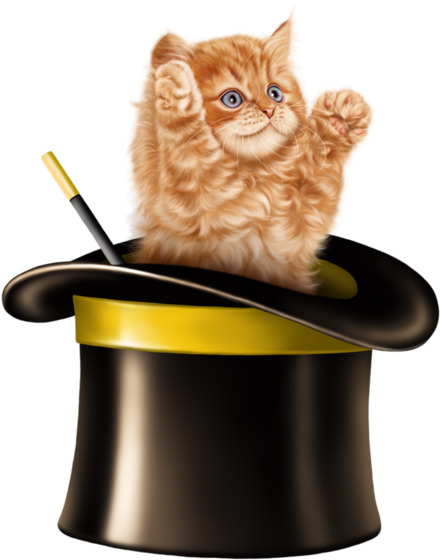Clipart Koty (600x600)